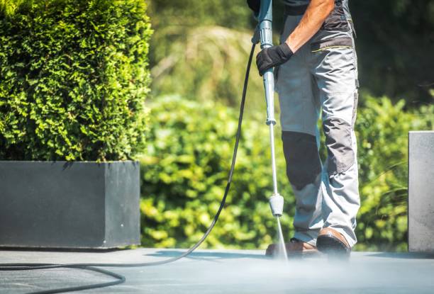 Best Building Exterior Washing  in Bayou Vista, TX