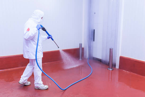 Best Playground Equipment Cleaning  in Bayou Vista, TX