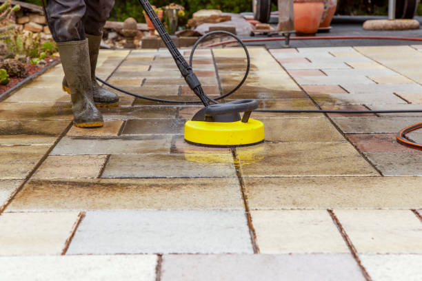 Best Dumpster Area Cleaning  in Bayou Vista, TX