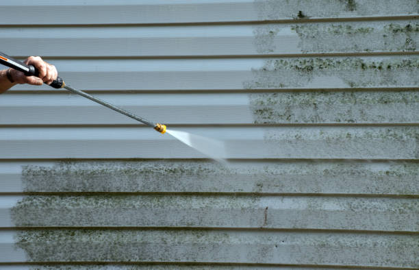Best Sidewalk and Walkway Cleaning  in Bayou Vista, TX